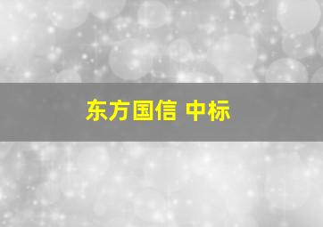 东方国信 中标